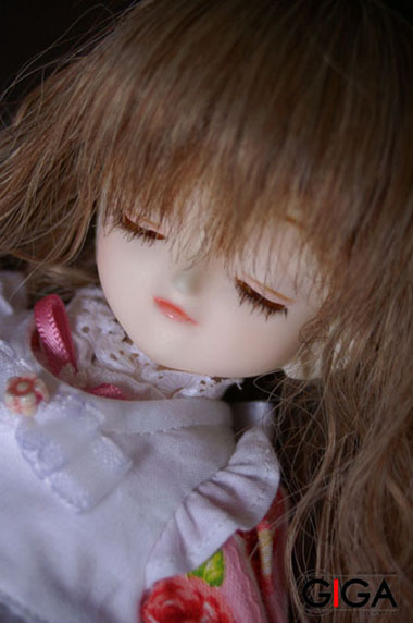 今回の販売物は、こちらです